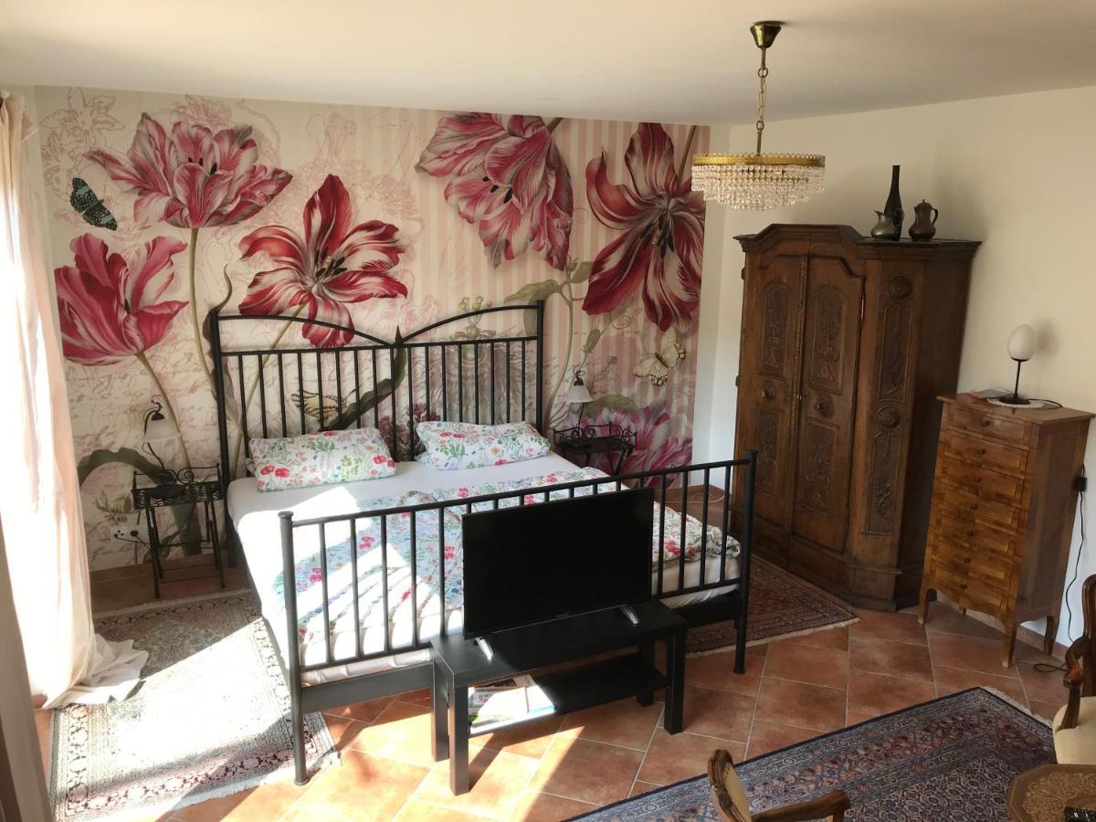 Ferienapartments Im Hintergaessel 圣马丁 外观 照片